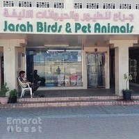 Birds and pet animals JARAH