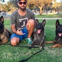 Dog Training Van aziz