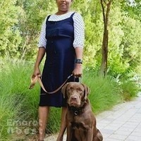 SRK9 Dog Training Abudhabi