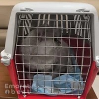 MOCCAE VETERINARY QUARANTINE