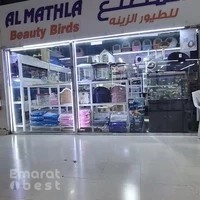 AL MATHLA BEAUTY BIRDS AND FISHES