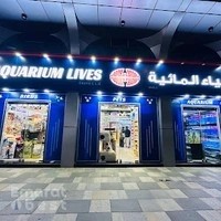 Aquarium Lives - Al Khalidiyah
