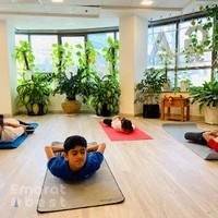 Hatha Vidya Yoga Centre