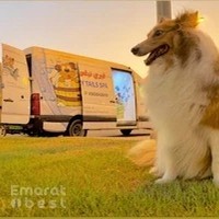 Furry tails spa, home service for pets