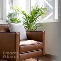 Nafsology Psychology Center DMCC