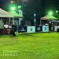 Sharjah Kennel Center (SKC)