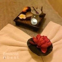 Chiang Mai Traditional Thai Massage