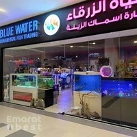 BLUE WATER ORNAMENTAL FISH TRADING LLC