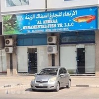Al Arbeaa Ornamental Fish TR.LLC
