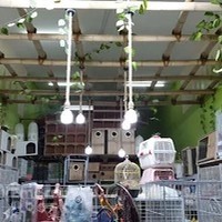 مزرعة الحيوانات Animalfarmuae