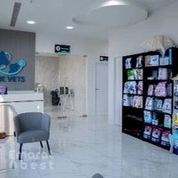 The Vets Veterinary Clinic