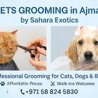 PETS GROOMING CENTRE AJMAN by Sahara Exotics
