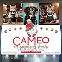 Cameo Pet Grooming Station
