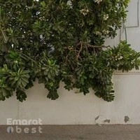 Ritasha Varsani | Indian American Trained Psychologist in Dubai | Couples Therapy & Mental Health Clinic