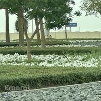 MASSAGE - CENTER - ME11