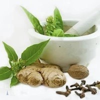 Ayurvedic Kottakkal Olive Gents massage center