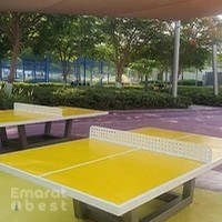 Table Tennis - Dubai Hills Park