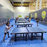 Al Wasl Table Tennis Academy - Dubai
