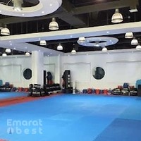 MBA Dynamic Martial Arts Training Club LLC