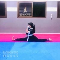 Silver Medal Self Defence