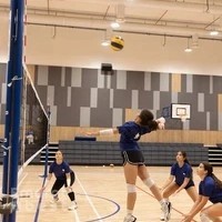 Lynx Volleyball Academy
