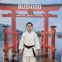 Bushido Martial Arts and Fitness
