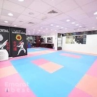 Oriental Karate, Salam-Electra corner