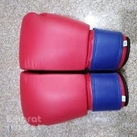 UAE Wrestling & Judo Federation