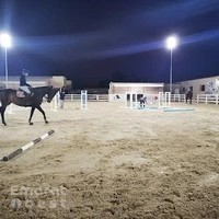 نادي الباهيه للفروسيه