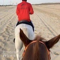 Al Huboob Stables اسطبلات الهبوب