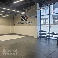 TAO Jiu-Jitsu Academy