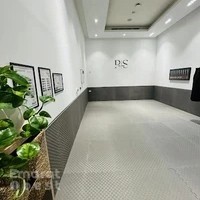 Palm Jiu Jitsu Studio