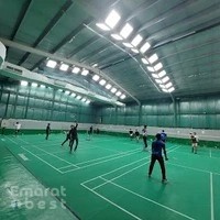 Bat and Ball badminton court