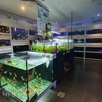 PetWorld UAE