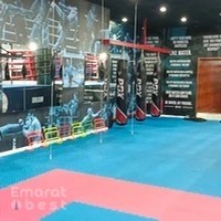 TIGER MARTIAL ARTS CENTER, AL QULAYAAH, SHARJAH