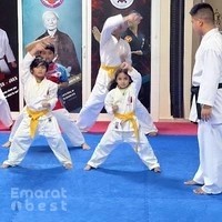 Karate Kid Martial Arts