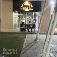 Jurassic Pets iguana