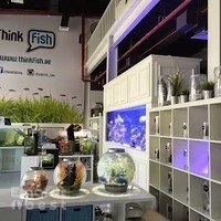 Think Fish