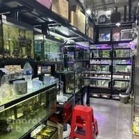 Aquarium Lives - Garden Centre Dubai