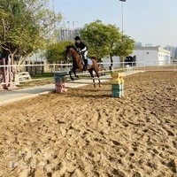 Horse Riding Club, Dubai