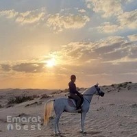Al Dhabi Horse Riding