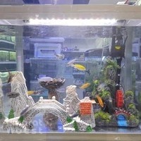 Ahli Aquarium LLC