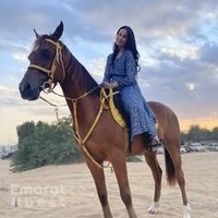 Aayan Equestrian Club