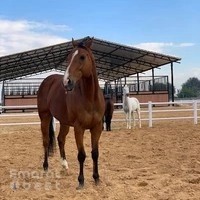 Malath Paddock Paradise