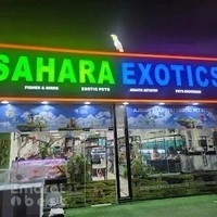 SAHARA EXOTICS – Largest Pet & Aquarium Store in Ajman