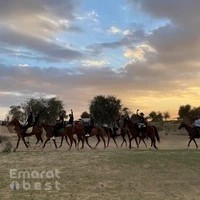The Saddle Equestrian Club
