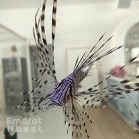 Aqua Art LLC - Aquarium Manufacturing Unit