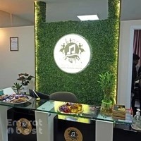 Rising Stars Music Training Center