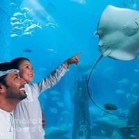 Lost World Aquarium at Aquaventure World