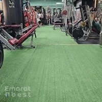 Shapes & Curves Fitness Gym